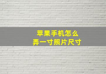 苹果手机怎么弄一寸照片尺寸