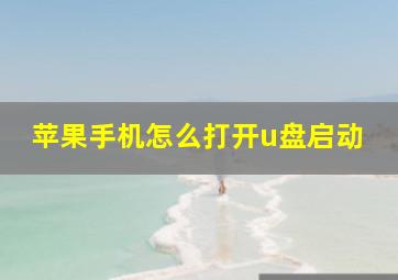 苹果手机怎么打开u盘启动