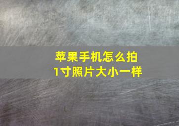 苹果手机怎么拍1寸照片大小一样