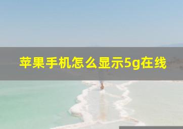 苹果手机怎么显示5g在线