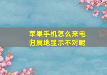 苹果手机怎么来电归属地显示不对呢