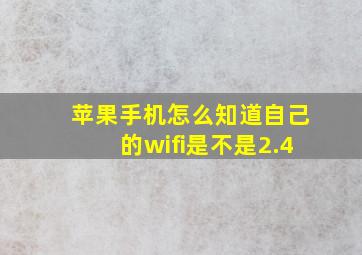 苹果手机怎么知道自己的wifi是不是2.4