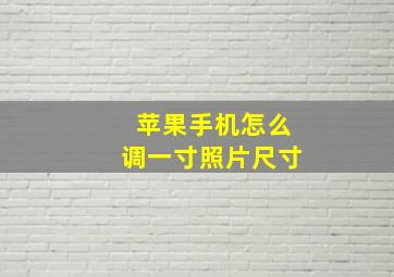 苹果手机怎么调一寸照片尺寸