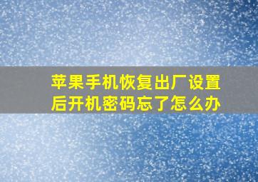 苹果手机恢复出厂设置后开机密码忘了怎么办