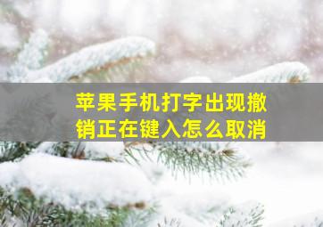 苹果手机打字出现撤销正在键入怎么取消