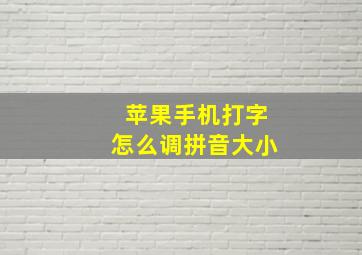 苹果手机打字怎么调拼音大小