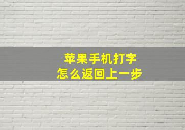 苹果手机打字怎么返回上一步