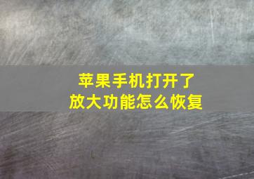 苹果手机打开了放大功能怎么恢复