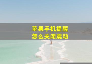 苹果手机提醒怎么关闭震动