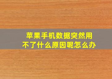 苹果手机数据突然用不了什么原因呢怎么办