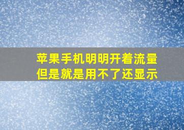 苹果手机明明开着流量但是就是用不了还显示