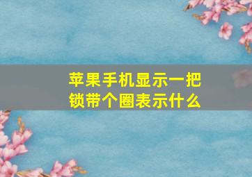 苹果手机显示一把锁带个圈表示什么