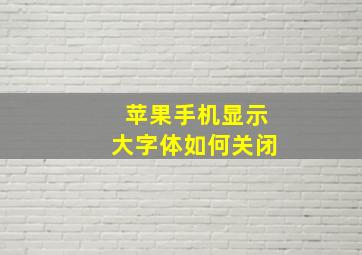 苹果手机显示大字体如何关闭