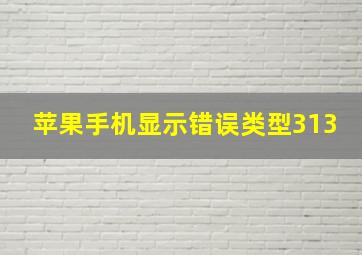 苹果手机显示错误类型313