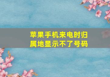 苹果手机来电时归属地显示不了号码