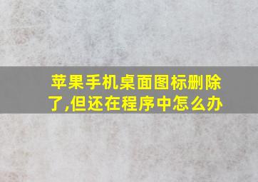 苹果手机桌面图标删除了,但还在程序中怎么办