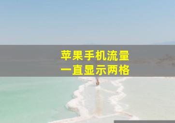 苹果手机流量一直显示两格