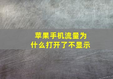 苹果手机流量为什么打开了不显示