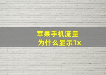 苹果手机流量为什么显示1x