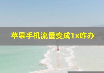 苹果手机流量变成1x咋办