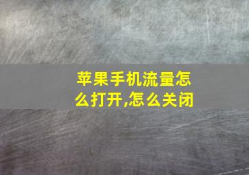 苹果手机流量怎么打开,怎么关闭