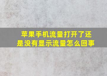 苹果手机流量打开了还是没有显示流量怎么回事