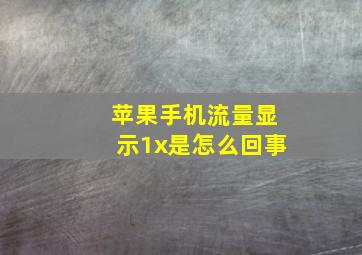 苹果手机流量显示1x是怎么回事