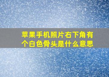 苹果手机照片右下角有个白色骨头是什么意思