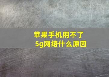 苹果手机用不了5g网络什么原因