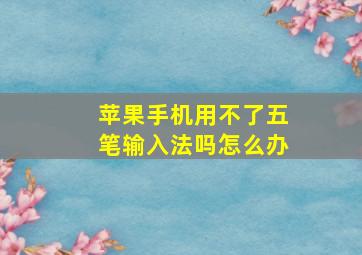 苹果手机用不了五笔输入法吗怎么办