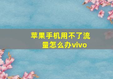 苹果手机用不了流量怎么办vivo