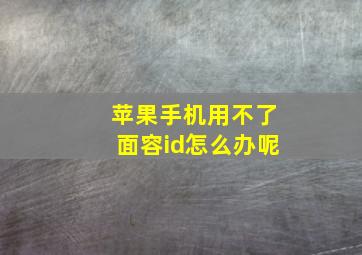 苹果手机用不了面容id怎么办呢