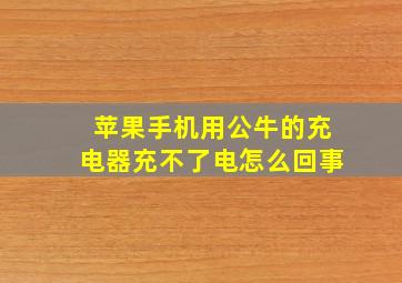 苹果手机用公牛的充电器充不了电怎么回事