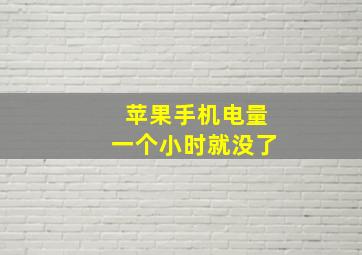 苹果手机电量一个小时就没了