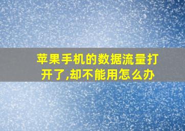 苹果手机的数据流量打开了,却不能用怎么办