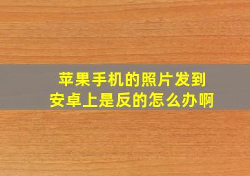 苹果手机的照片发到安卓上是反的怎么办啊