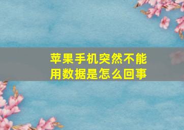 苹果手机突然不能用数据是怎么回事