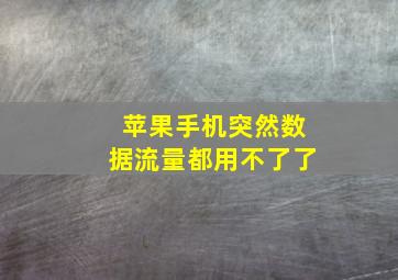 苹果手机突然数据流量都用不了了