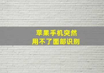 苹果手机突然用不了面部识别