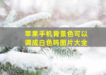 苹果手机背景色可以调成白色吗图片大全