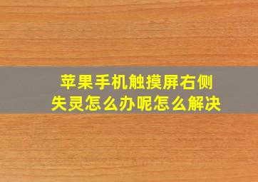 苹果手机触摸屏右侧失灵怎么办呢怎么解决