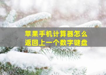 苹果手机计算器怎么返回上一个数字键盘