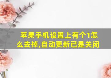 苹果手机设置上有个1怎么去掉,自动更新已是关闭