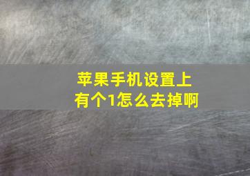 苹果手机设置上有个1怎么去掉啊