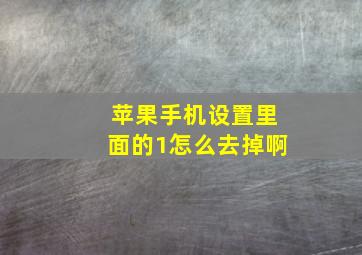 苹果手机设置里面的1怎么去掉啊