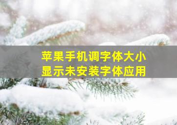 苹果手机调字体大小显示未安装字体应用