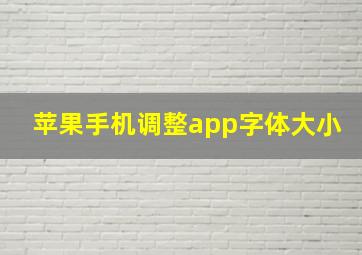 苹果手机调整app字体大小