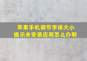 苹果手机调节字体大小提示未安装应用怎么办啊