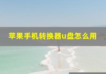 苹果手机转换器u盘怎么用