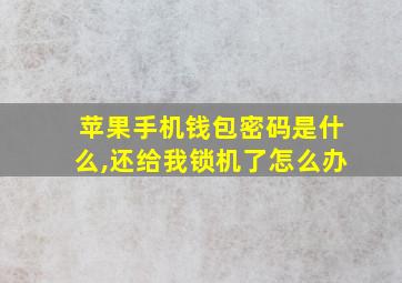 苹果手机钱包密码是什么,还给我锁机了怎么办